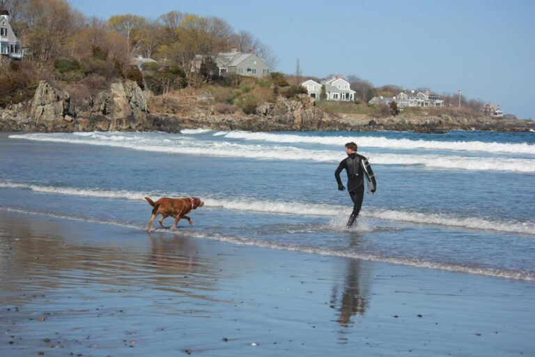 Chris Carragher and his dog Stella chasing surf in Maine.