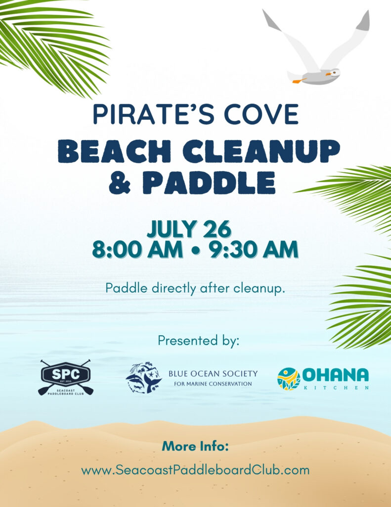 Rye, NH Beach Cleanup