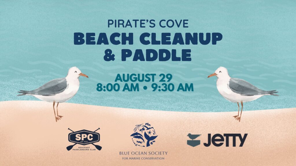 Beach Cleanup August 2026