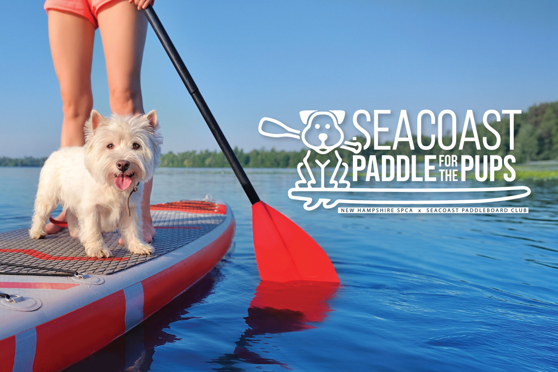 Paddle_WebBanner_2026 Seacoast Paddle for the Pups 2026