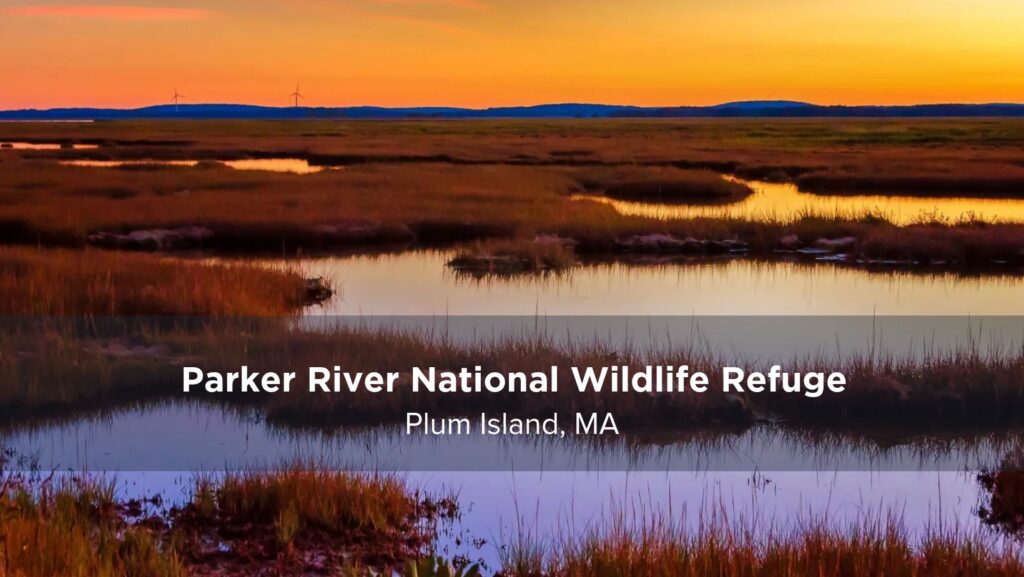 Plum Island Paddleboarding